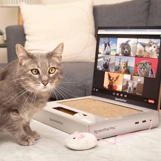 Foto 2 | Laptop Cat Toy Scratcher Con Pantalla De Videochat Y Ball Track P - Venta Internacional.