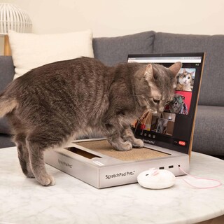 Foto 3 | Laptop Cat Toy Scratcher Con Pantalla De Videochat Y Ball Track P - Venta Internacional.