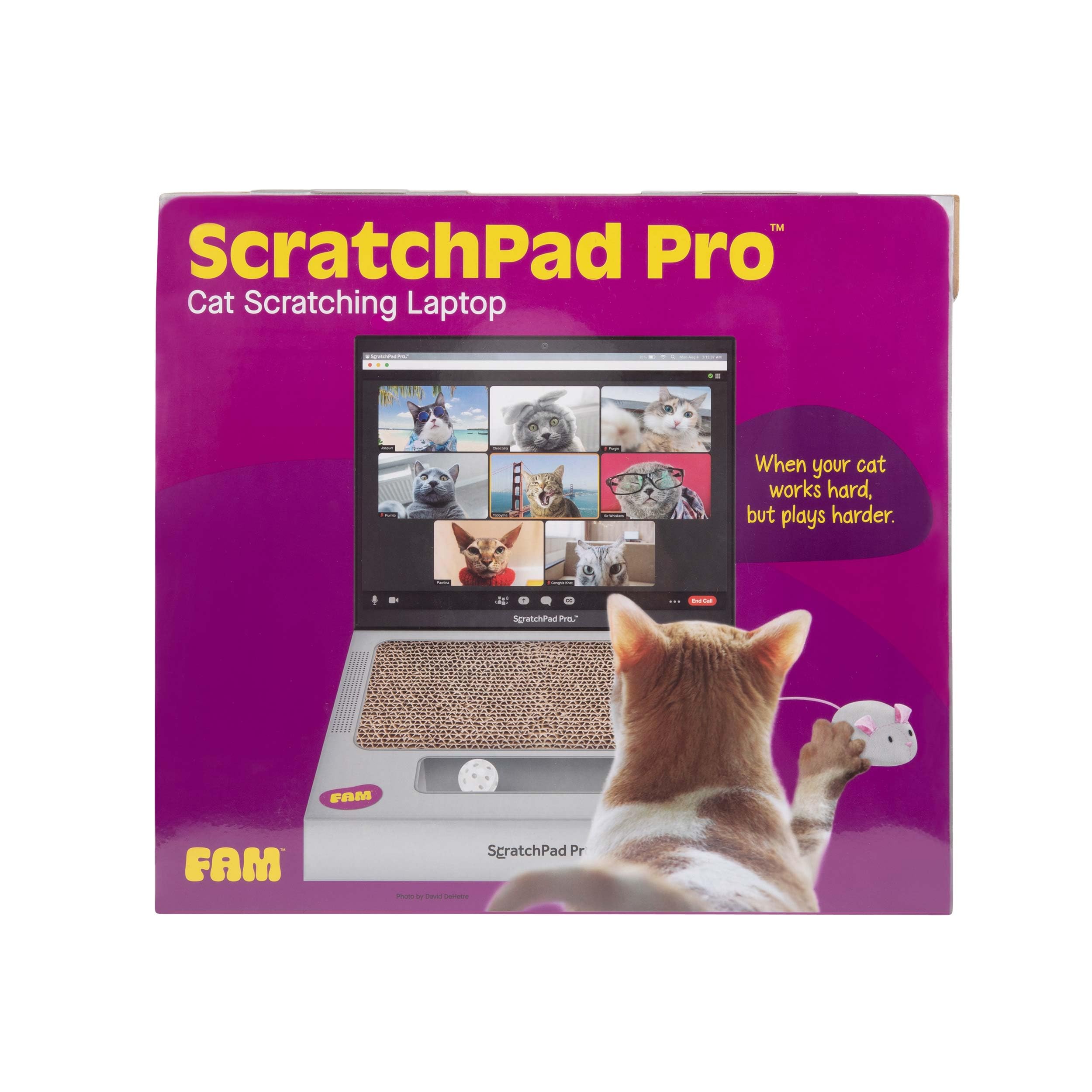 Foto 5 pulgar | Laptop Cat Toy Scratcher Con Pantalla De Videochat Y Ball Track P - Venta Internacional.