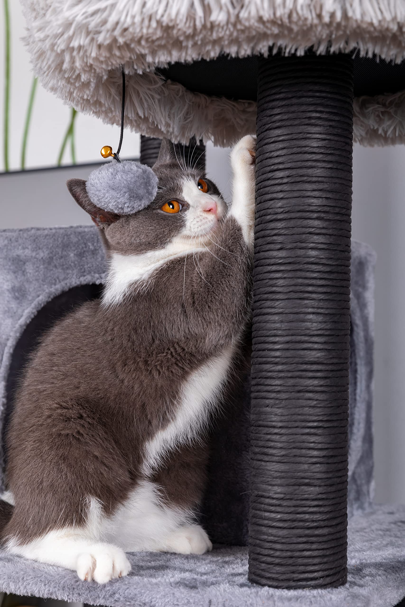 Foto 6 | Torre Para Gatos Cat Tree Catry Babylon Con Hamaca Y Rascadores - Venta Internacional.