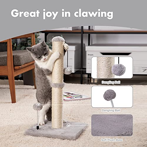 Foto 3 pulgar | Rascador Para Gatos Mecool Basics Premium Basics Kitten - Venta Internacional.