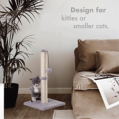 Foto 4 pulgar | Rascador Para Gatos Mecool Basics Premium Basics Kitten - Venta Internacional.