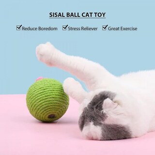 Foto 1 | Juguete Rascador Para Gatos Huoguo, Bonito Cactus Con Bola De Sisal Y Hierba Gatera - Venta Internacional.