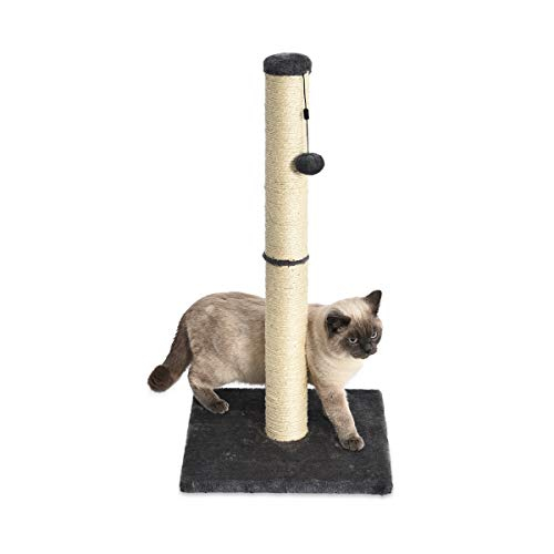 Foto 3 pulgar | Rascador Amazon Basics para Gato-Venta Internacional