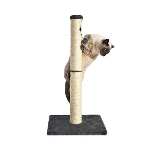 Foto 4 pulgar | Rascador Amazon Basics para Gato-Venta Internacional