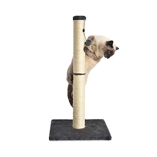 Foto 3 | Rascador Amazon Basics para Gato-Venta Internacional