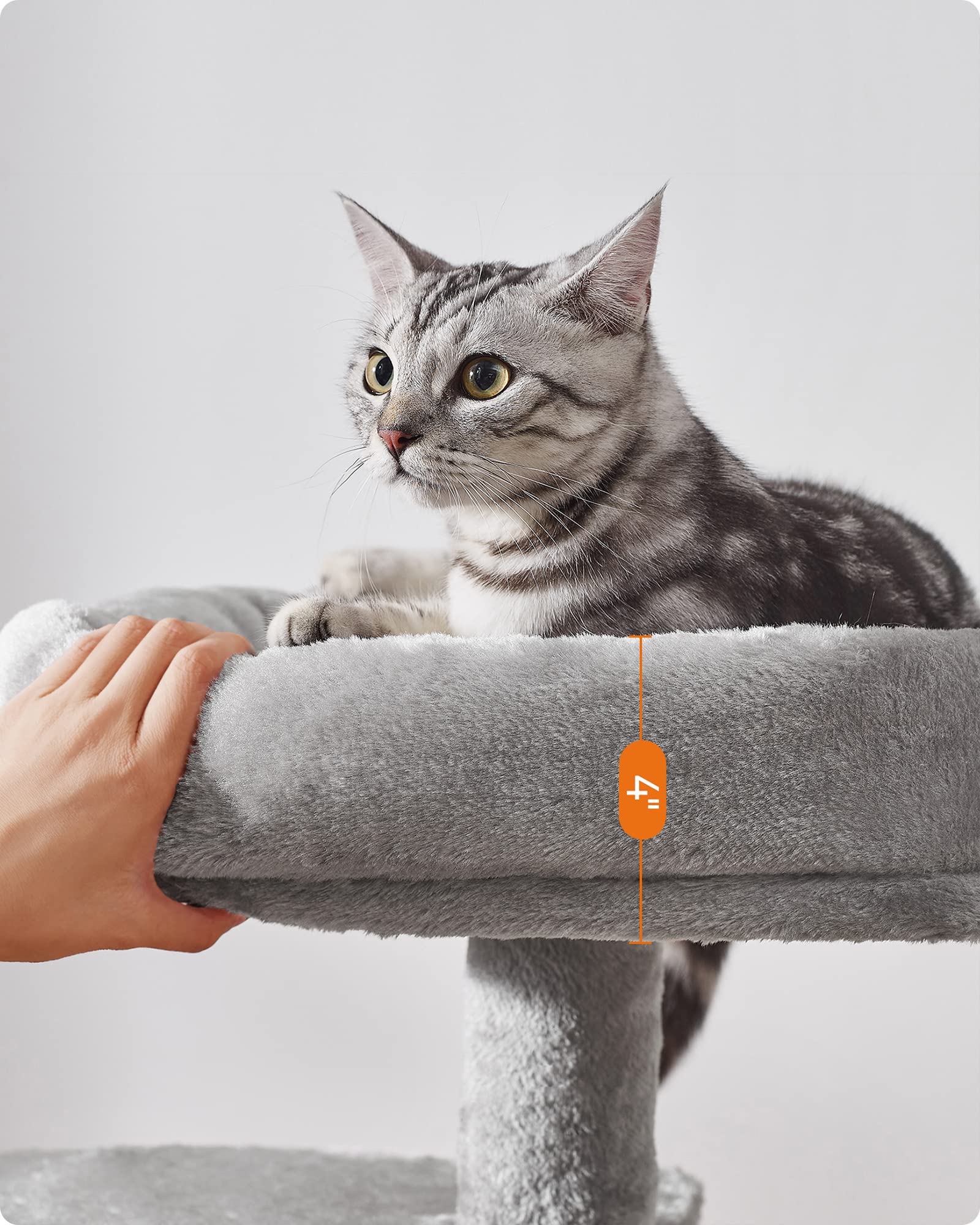 Foto 5 | Torre Pequeña Cat Tree Feandrea Upct59w Con Rascador - Venta Internacional.