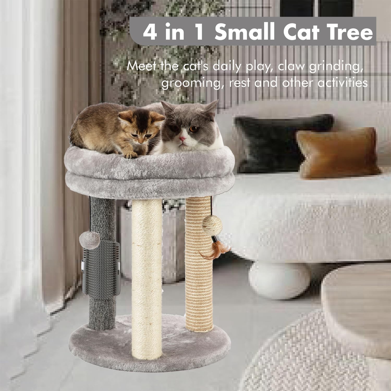 Foto 2 | Cat Tree Mecool 4 En 1 Con Rascador, Cama, Juguetes Y Cepillo - Venta Internacional.