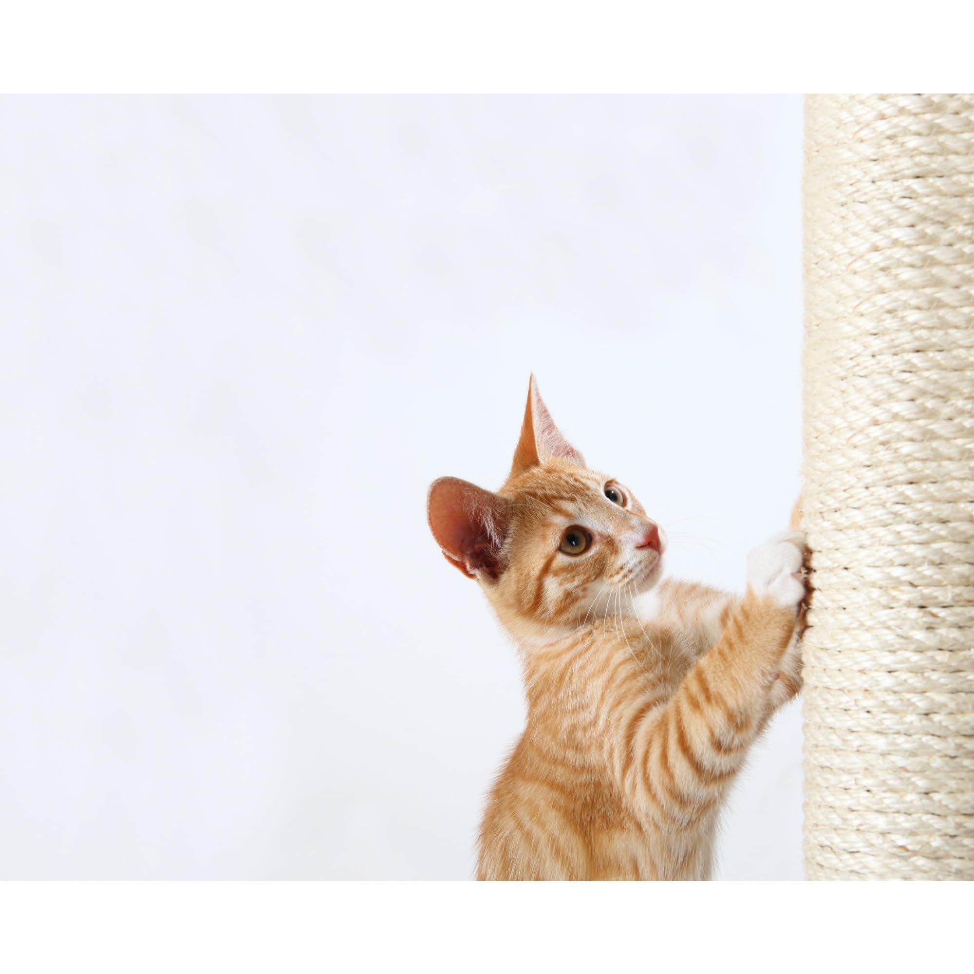 Foto 3 pulgar | Poste De Sisal De Repuesto Para Rascar Postes, Árboles Para Gatos Trixie - Venta Internacional.