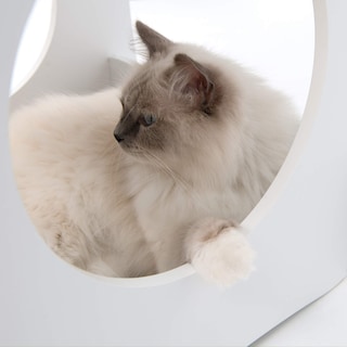 Foto 6 | Torre De Condominios Cat Tree Catit Vesper 52113, Color Blanco - Venta Internacional.