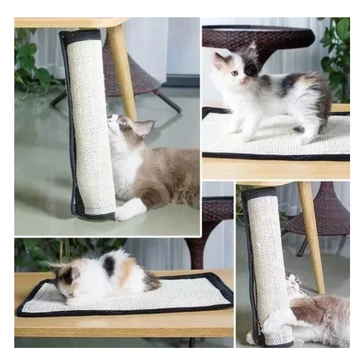 Foto 4 pulgar | 3pcs Tapete Rascador Para Gatos Con Pelota De Juguete Eo Safe Imports Esi-20225 Multicolor