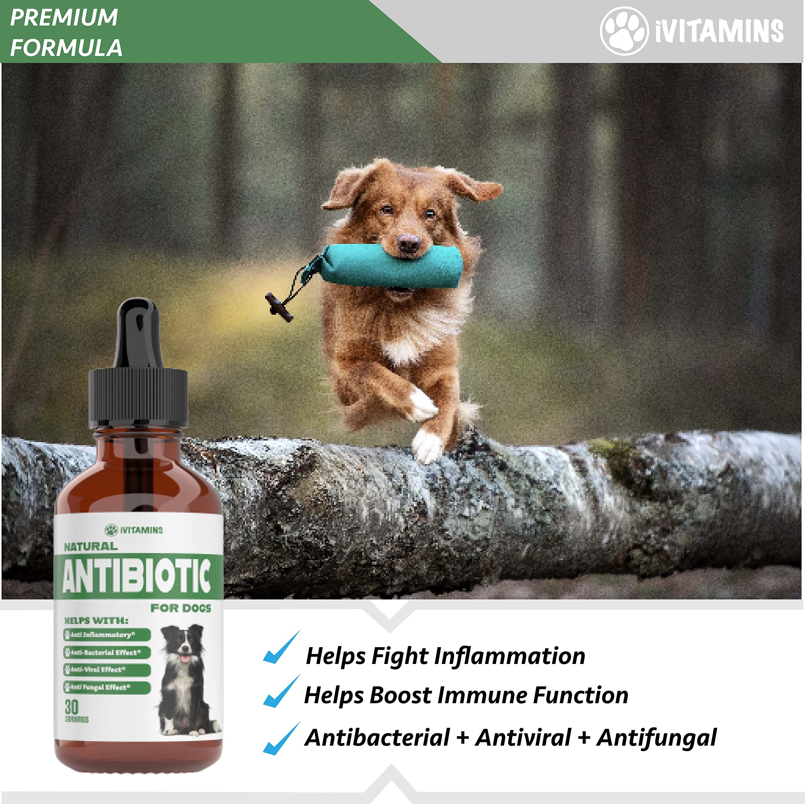 Foto 4 pulgar | Antibióticos Naturales Para Perros Las Vitaminas I Ayudan A Las Vías Respiratorias - Venta Internacional.