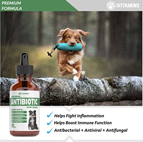 Foto 4 | Antibióticos Naturales Para Perros Las Vitaminas I Ayudan A Las Vías Respiratorias - Venta Internacional.