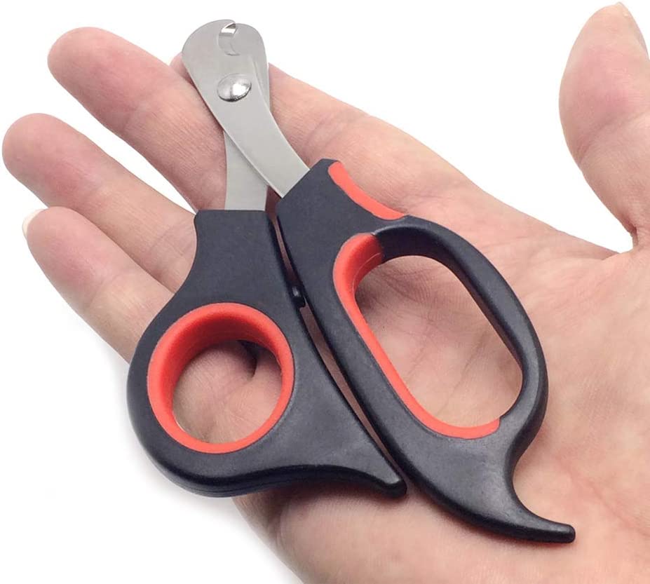 Cortauñas Y Tijeras Cortaúñas Para Gatos Para Razas Pequeñas - Venta Internacional.
