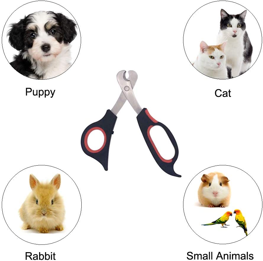Foto 5 pulgar | Cortauñas Y Tijeras Cortaúñas Para Gatos Para Razas Pequeñas - Venta Internacional.