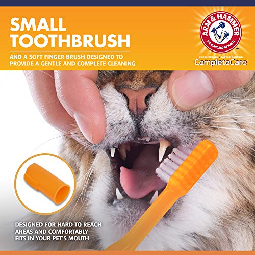 Foto 4 pulgar | Kit Dental Arm & Hammer Complete Care Para Gatos Y Gatitos Para Mascotas - Venta Internacional.
