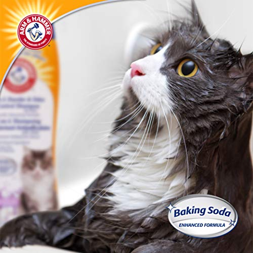 Foto 4 | Shampoo Arm & Hammer 2 En 1, Desodorizante Y Reductor De Caspa 60 - Venta Internacional.