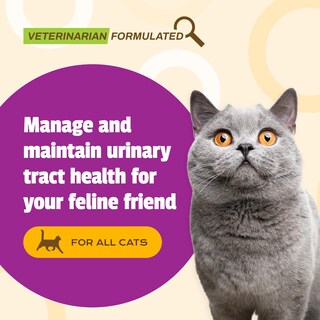 Foto 2 | Suplemento Para El Tracto Urinario Pet Naturals Ut Support Para Gatos - Venta Internacional.