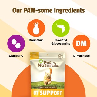 Foto 3 | Suplemento Para El Tracto Urinario Pet Naturals Ut Support Para Gatos - Venta Internacional.