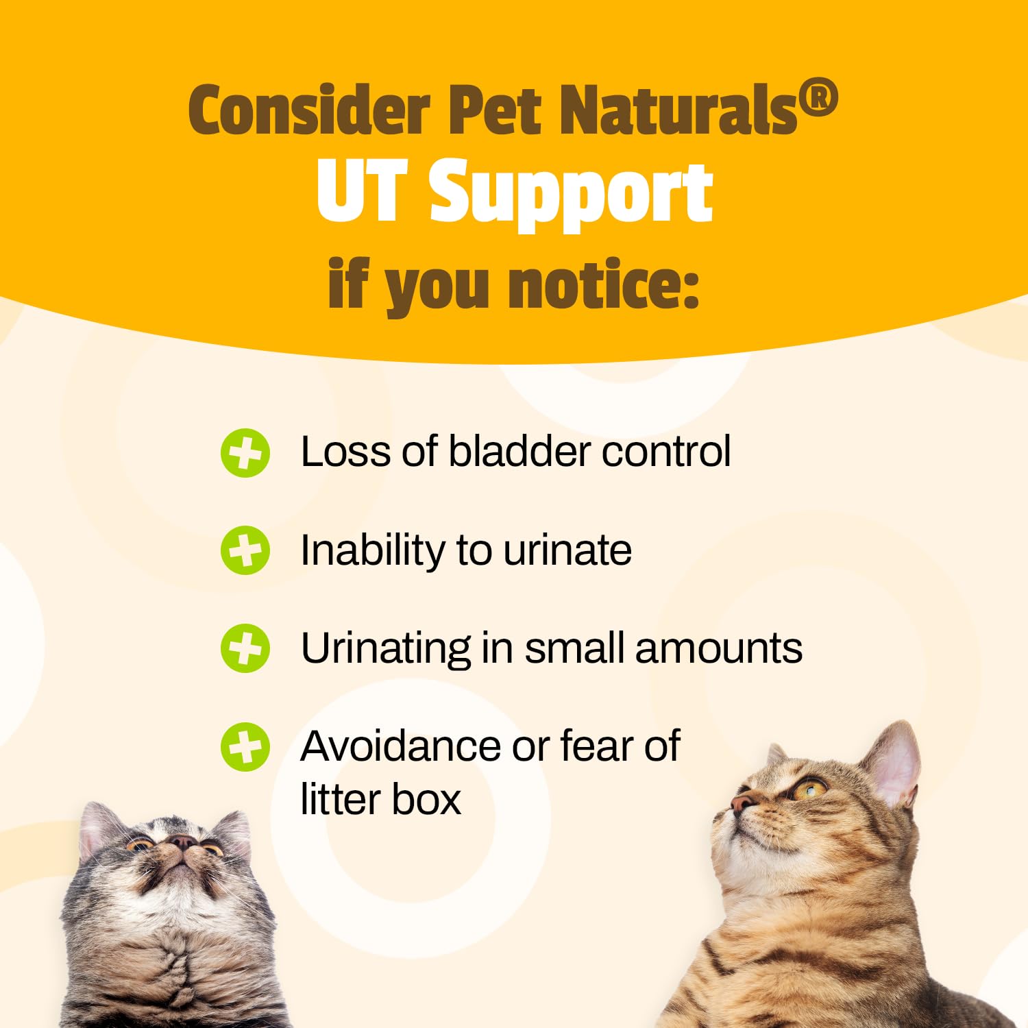 Foto 5 pulgar | Suplemento Para El Tracto Urinario Pet Naturals Ut Support Para Gatos - Venta Internacional.