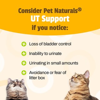 Foto 4 | Suplemento Para El Tracto Urinario Pet Naturals Ut Support Para Gatos - Venta Internacional.