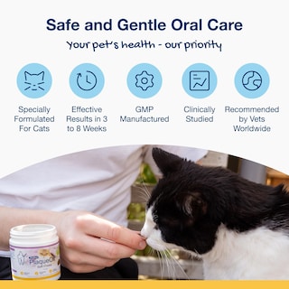 Foto 3 | Suplemento Proden Plaqueoff Soft Chews Para Gatos 45 Unidades - Venta Internacional.