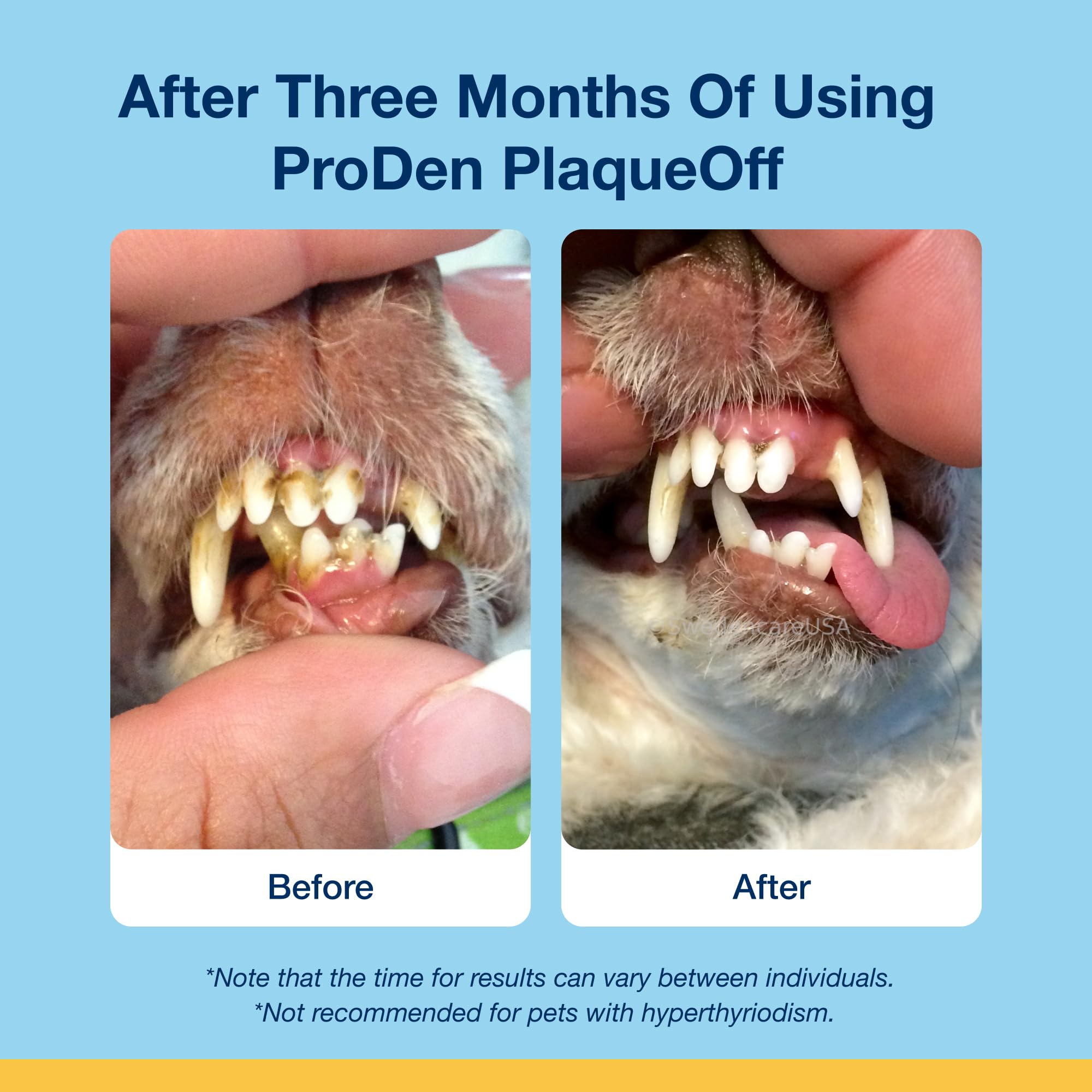 Foto 6 pulgar | Suplemento Proden Plaqueoff Soft Chews Para Gatos 45 Unidades - Venta Internacional.
