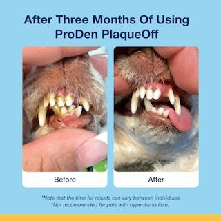 Foto 5 | Suplemento Proden Plaqueoff Soft Chews Para Gatos 45 Unidades - Venta Internacional.