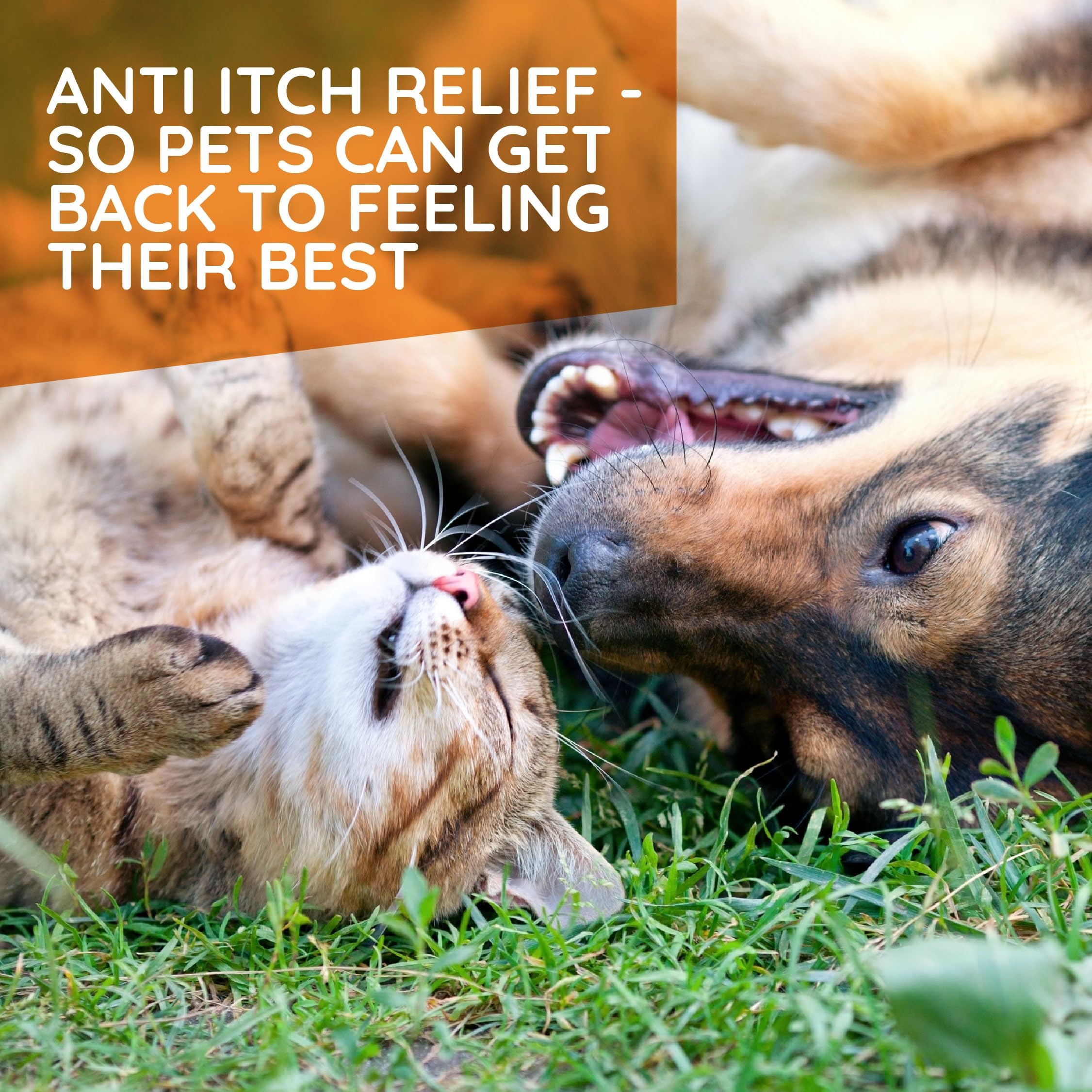 Foto 3 | Gotas Antialérgicas Medinatura T-relief Para Perros Y Gatos - Venta Internacional.