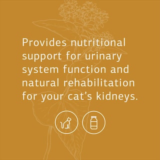 Foto 3 | Suplemento Para Gatos Standard Process Feline Renal Support 90 Comprimidos - Venta Internacional.