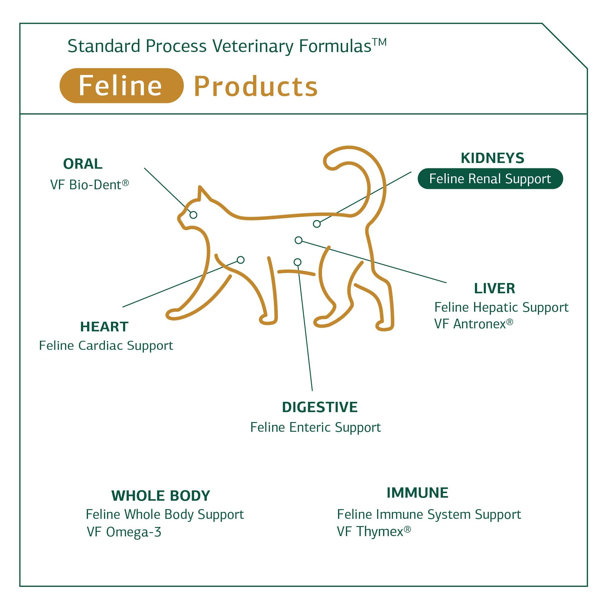 Foto 5 | Suplemento Para Gatos Standard Process Feline Renal Support 90 Comprimidos - Venta Internacional.