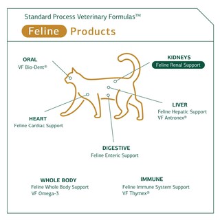 Foto 5 | Suplemento Para Gatos Standard Process Feline Renal Support 90 Comprimidos - Venta Internacional.