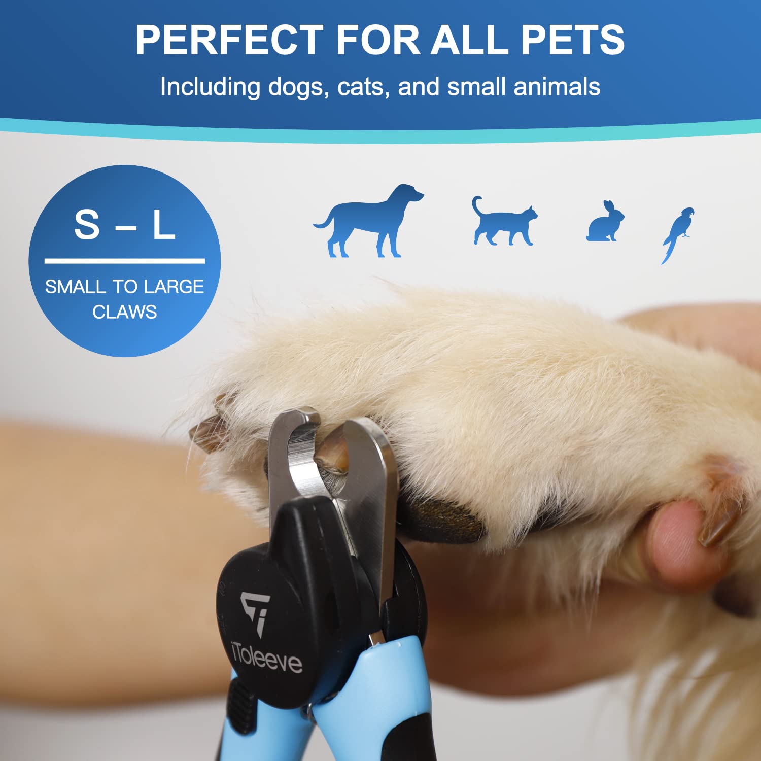 Foto 6 pulgar | Cortauñas Led Para Perros Itoleeve Con Luz Para Uñas De Perros Y Gatos - Venta Internacional.