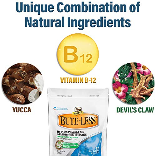 Foto 3 | Suplemento Absorbine Bute-less Comfort & Recovery De 4,54 Kg - Venta Internacional.