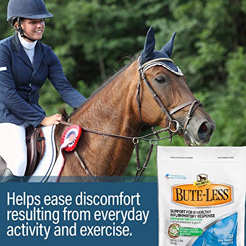 Foto 4 | Suplemento Absorbine Bute-less Comfort & Recovery De 4,54 Kg - Venta Internacional.