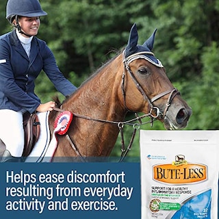 Foto 4 | Suplemento Absorbine Bute-less Comfort & Recovery De 4,54 Kg - Venta Internacional.