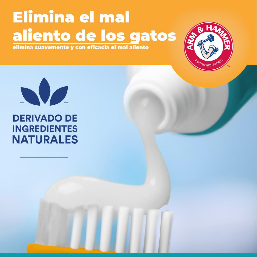 Foto 3 | Cepillo y Pasta Dental para Gato Arm & Hammer-Venta Internacional