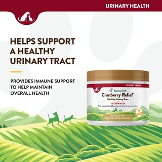 Foto 3 | Suplemento Naturvet Cranberry Relief + Echinacea En Polvo De 50 G - Venta Internacional.
