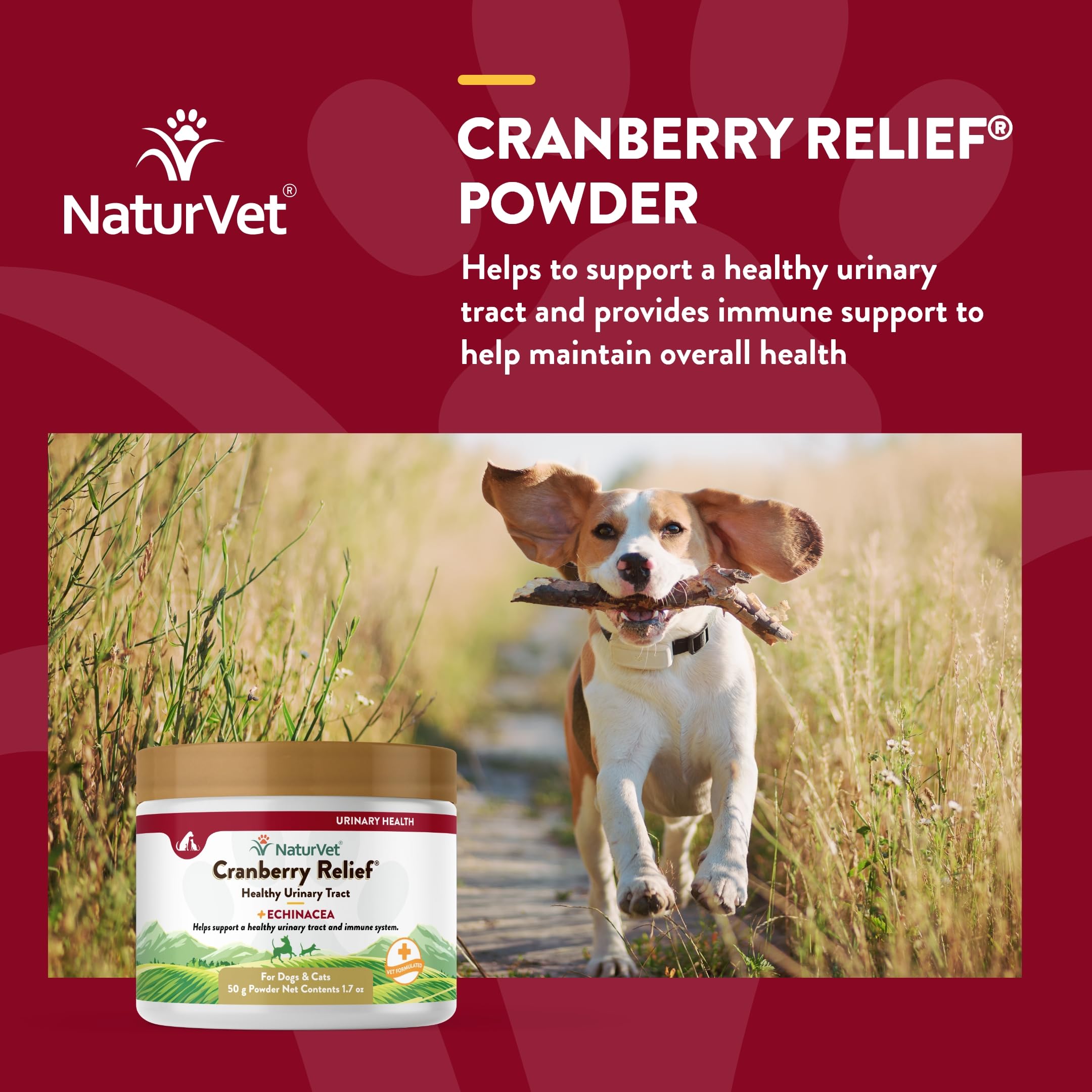 Foto 4 | Suplemento Naturvet Cranberry Relief + Echinacea En Polvo De 50 G - Venta Internacional.