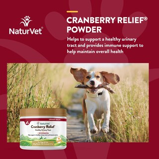 Foto 4 | Suplemento Naturvet Cranberry Relief + Echinacea En Polvo De 50 G - Venta Internacional.