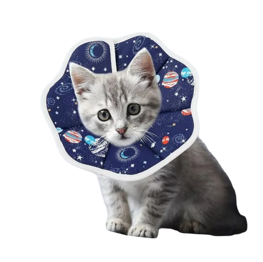 Foto 1 | Collar Xtellar De Cono Para Mascotas Plegable Y Ajustable