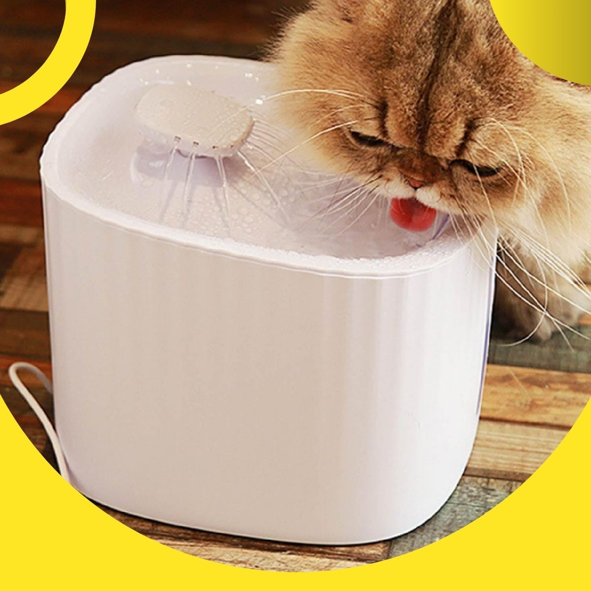 Foto 6 pulgar | Bebedero Tipo Fuente Capacidad 2.5l Poli Pets para Mascota