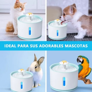 Foto 6 | Fuente de Agua para Mascotas Eo Safe Imports Esi-8805 Azul