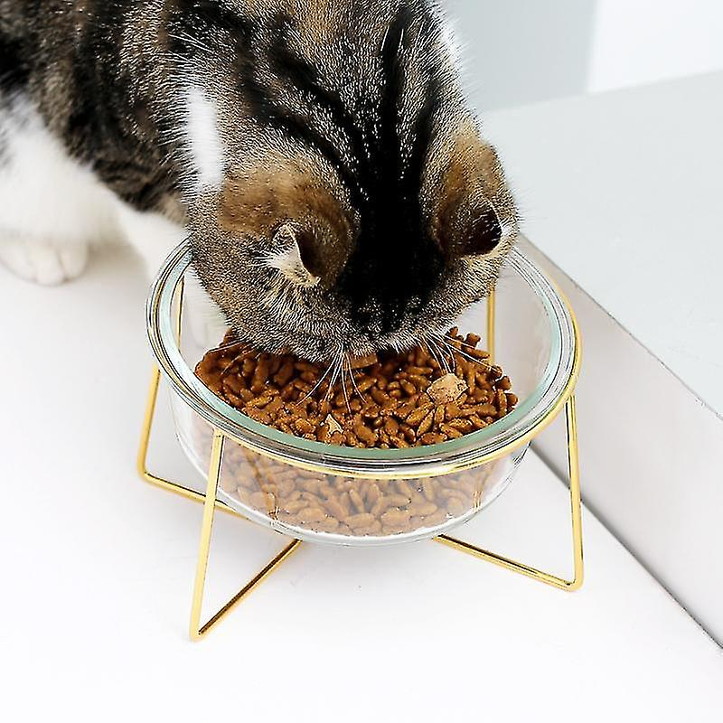 Foto 4 pulgar | Dispensador De Comida, Cuenco Para Gatos, Alimentador De Agua De Vidrio, 17,8 Cm, Huoguo - Venta Internacional.