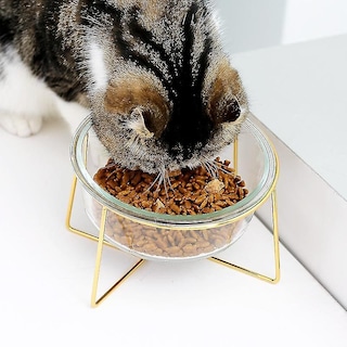 Foto 3 | Dispensador De Comida, Cuenco Para Gatos, Alimentador De Agua De Vidrio, 17,8 Cm, Huoguo - Venta Internacional.