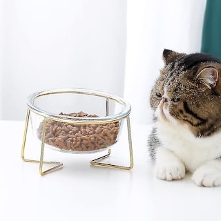 Foto 4 | Dispensador De Comida, Cuenco Para Gatos, Alimentador De Agua De Vidrio, 17,8 Cm, Huoguo - Venta Internacional.
