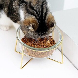 Foto 3 | Dispensador De Comida, Cuenco De Vidrio Para Gatos, Alimentador De Agua, 17,8 Cm, Huoguo - Venta Internacional.