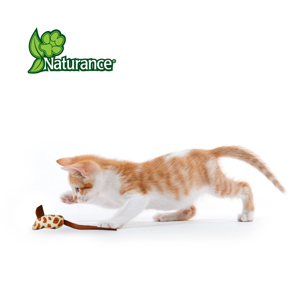 Foto 4 pulgar | Juguete Ratón Naturance Ecoplay FANCY PETS FL8242 para Gato con 3 Piezas