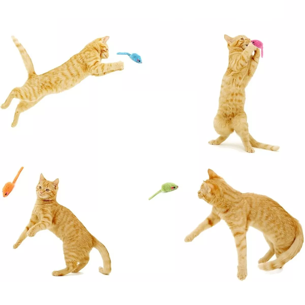 Foto 3 pulgar | Set Juguetes para Gatos Hierba Gatera de Ratones Interactiva 30pz Eo Safe Imports Multicolor