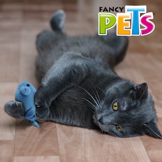 Foto 6 | Juguete Catch con Forma de Pez Fancy Pets FL8270 que Vibra para Gato Contiene 1 Pieza